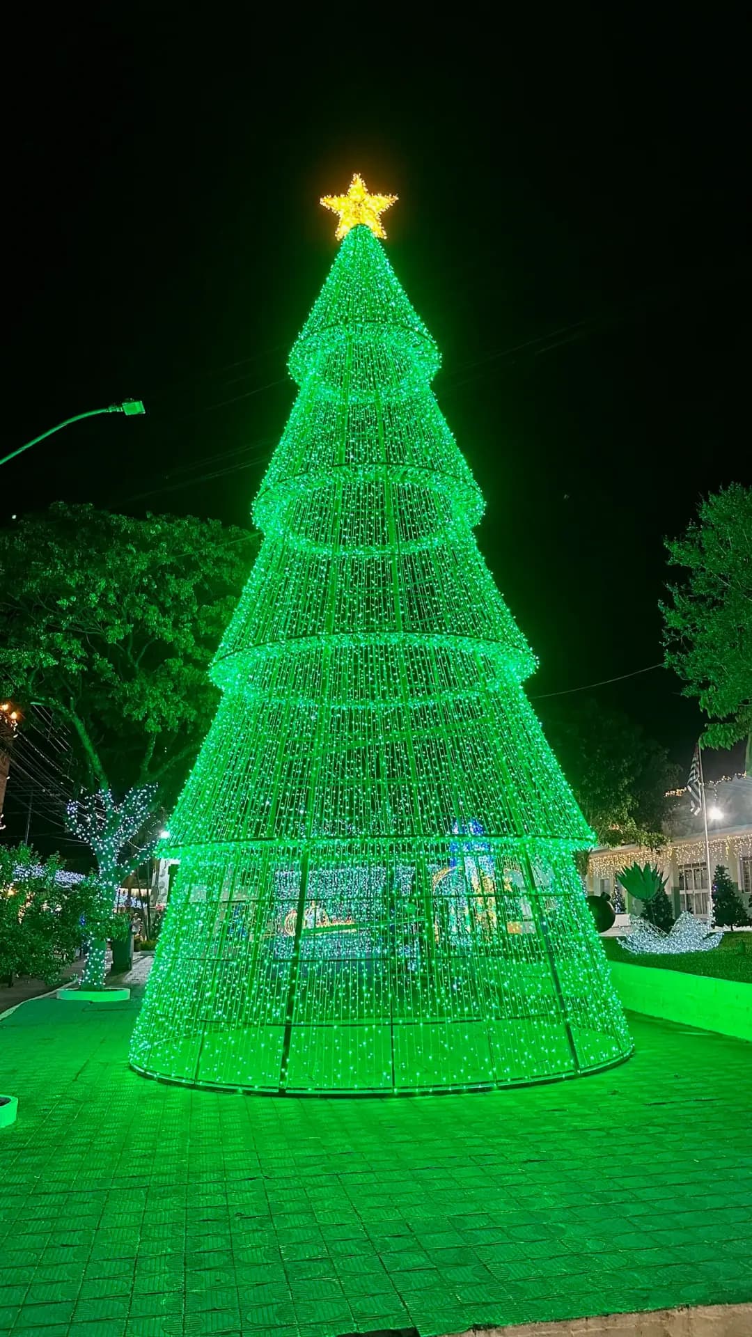 Árvore Cerejeira LED Vermelha 1,80m - 512 LEDs alta luminosidade