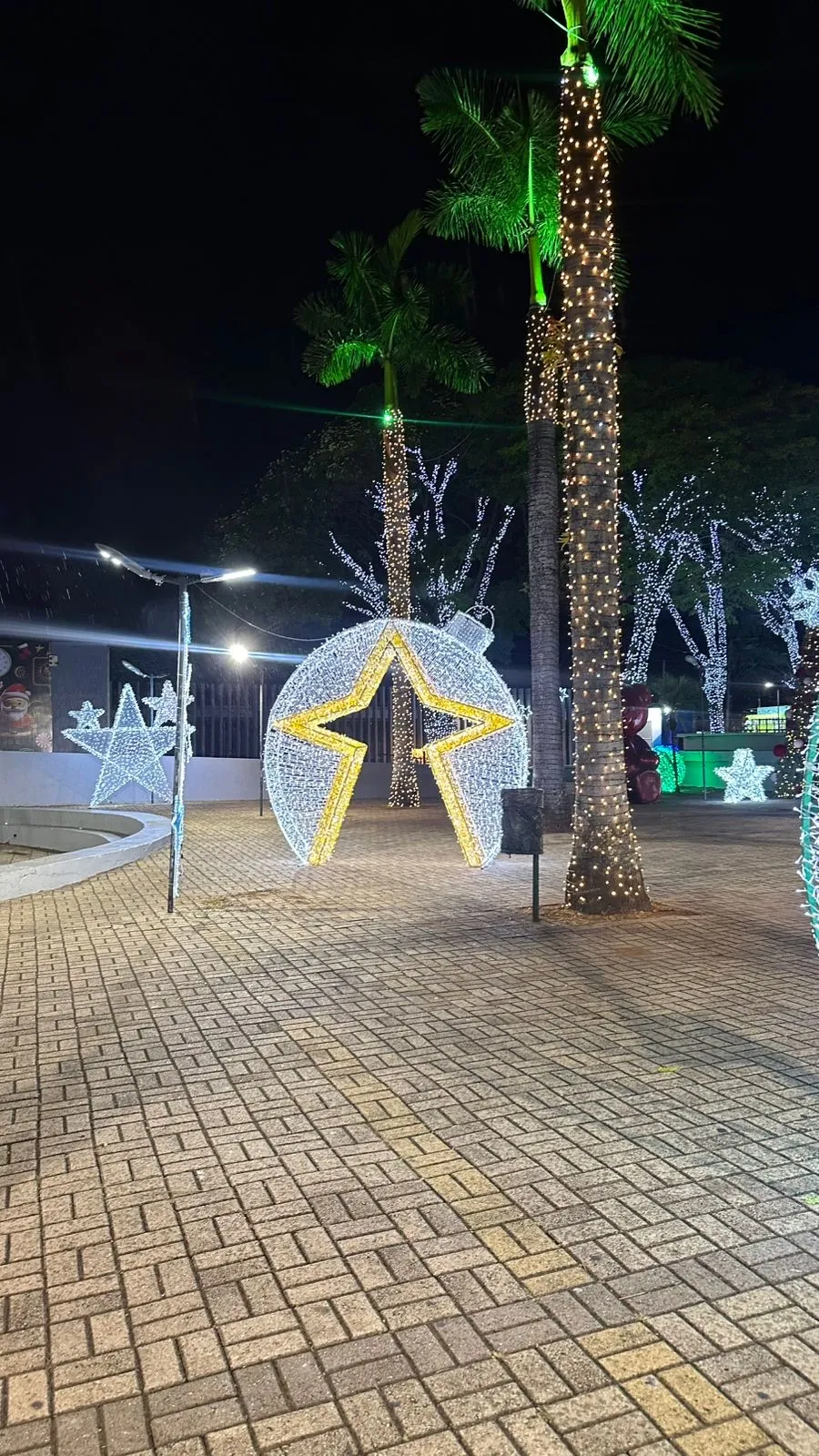 Natal 11