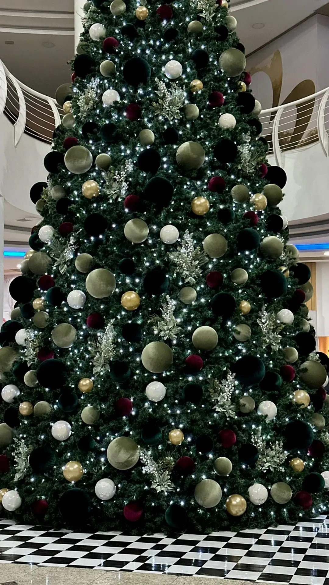 Natal 14