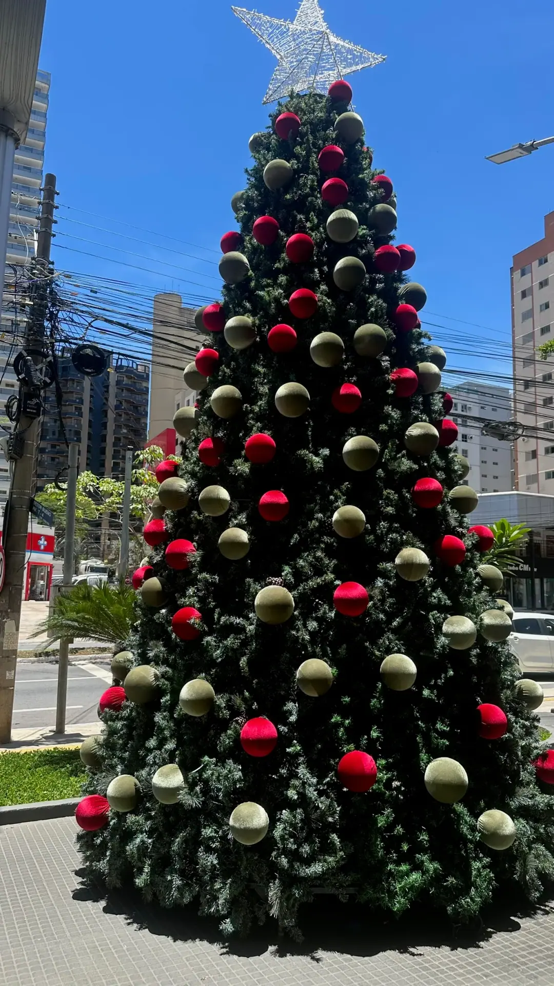 Natal 16
