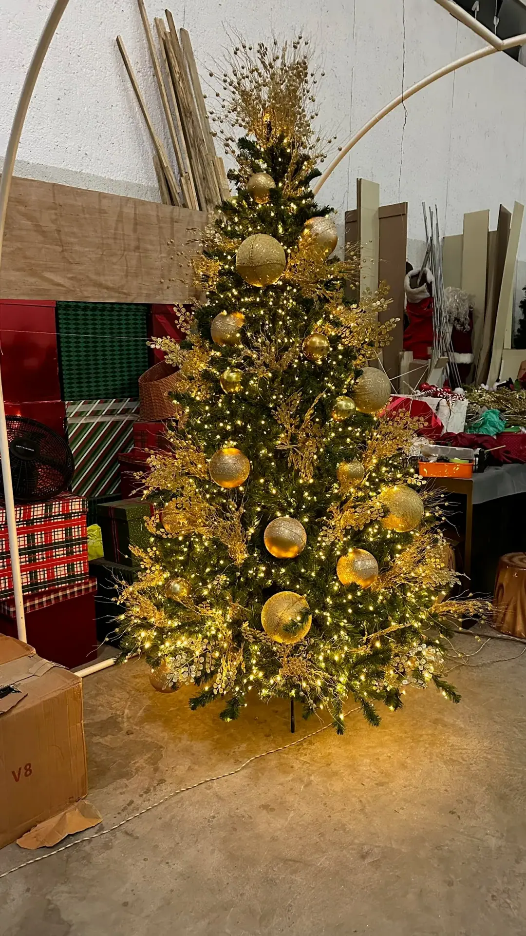 Natal 19