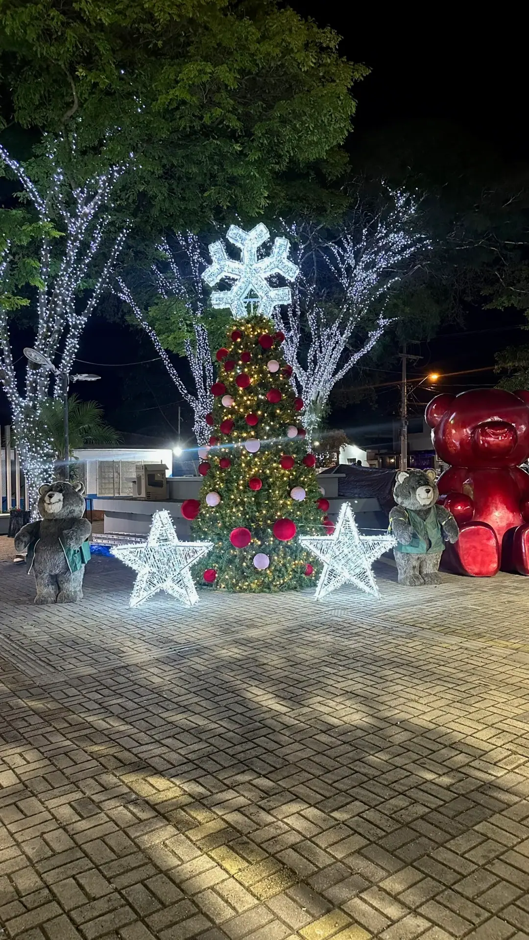 Natal 21