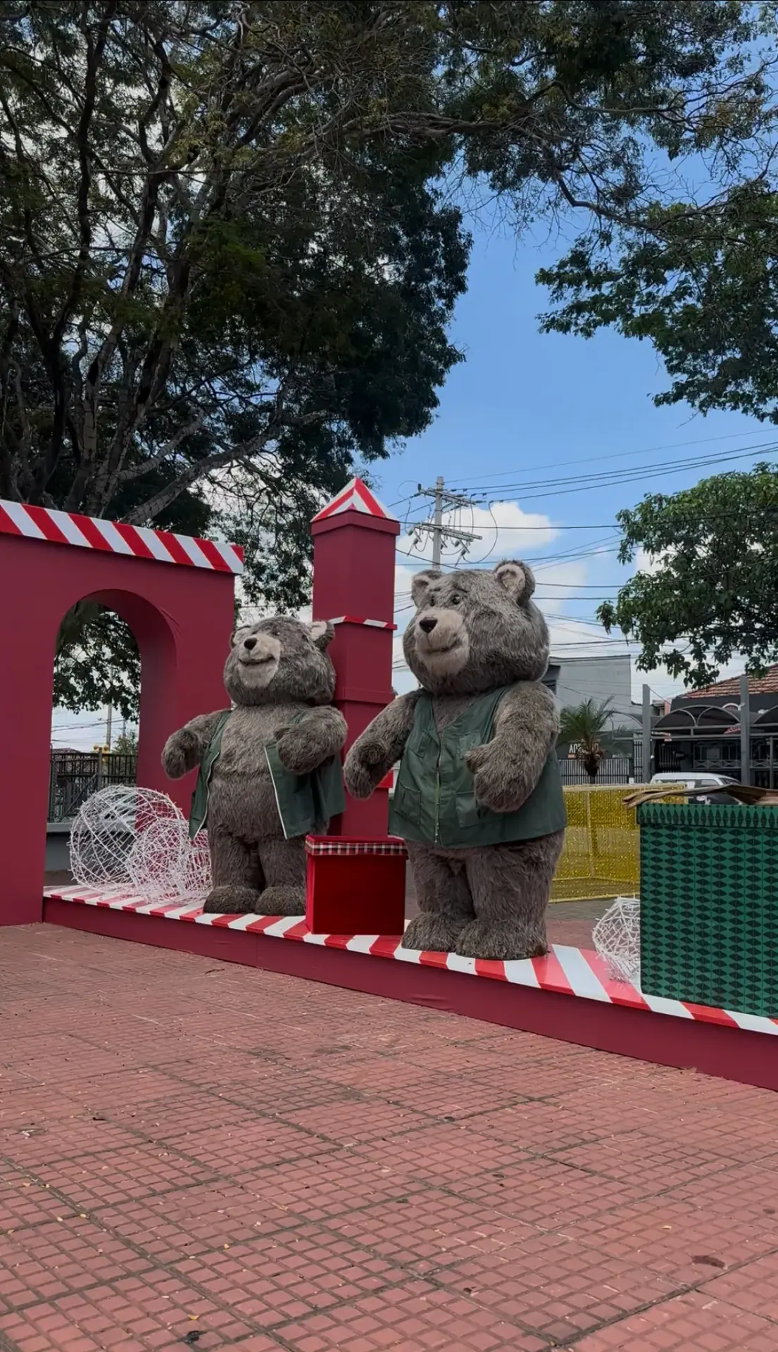 Natal 41